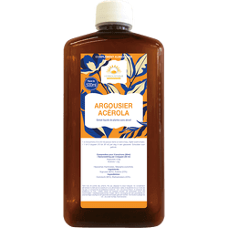 argousier-acerola-resistance-immunitaire-laboratoires-herbolistique