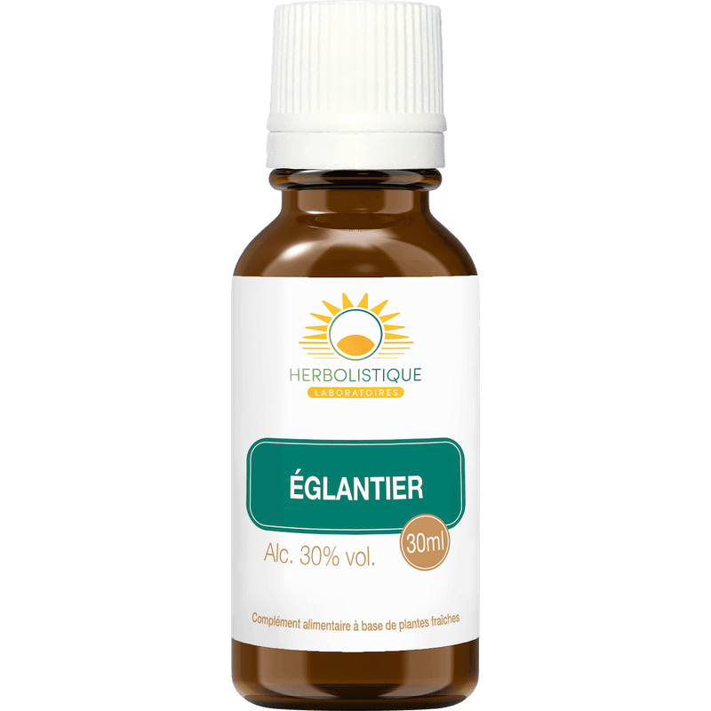 eglantier-renforcer-defenses-organismes-laboratoires-herbolistique