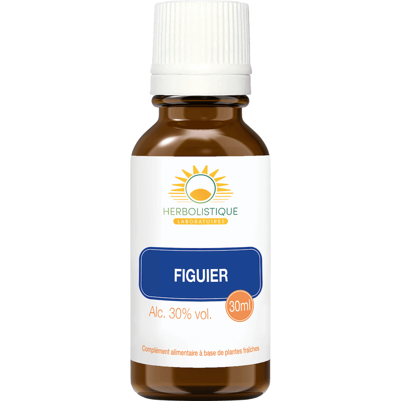 figuier-resistance-equilibre-intestinal-laboratoires-herbolistique