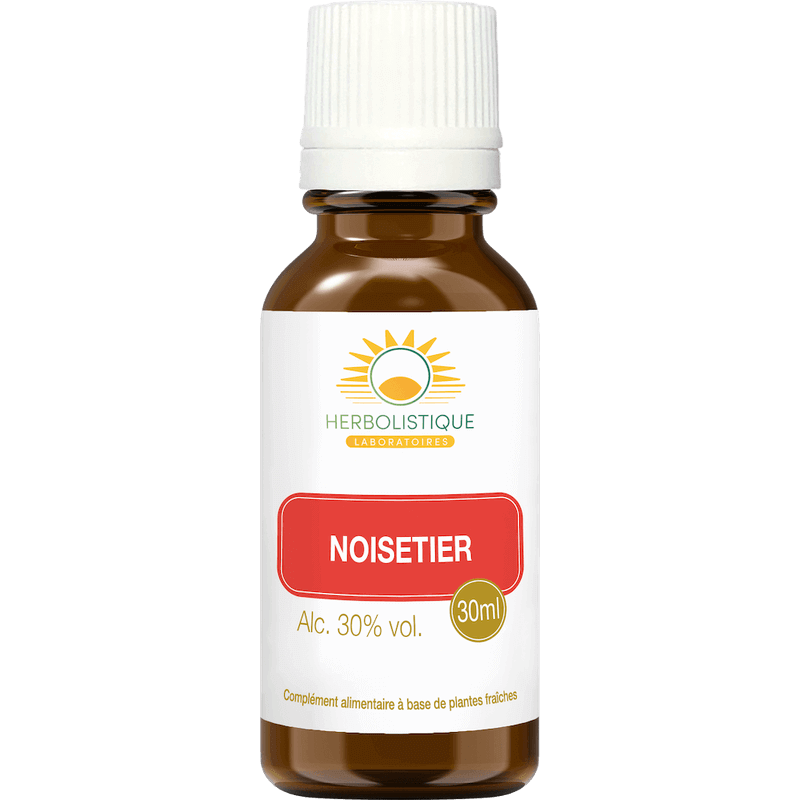noisetier-poumon-coeur-cardiovasculaire-laboratoires-herbolistique