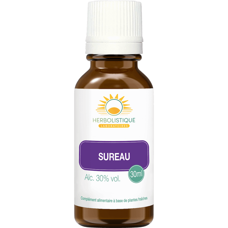 sureau-bourgeons-toxines-voies-respiratoires-laboratoires-herbolistique