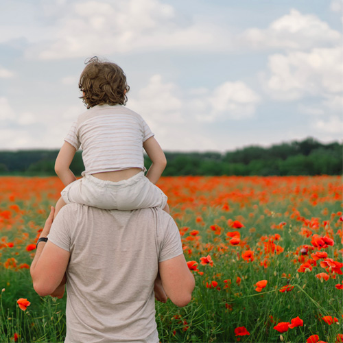 enfant sur les épaules dans un champ de coquelicots - Herbolistique