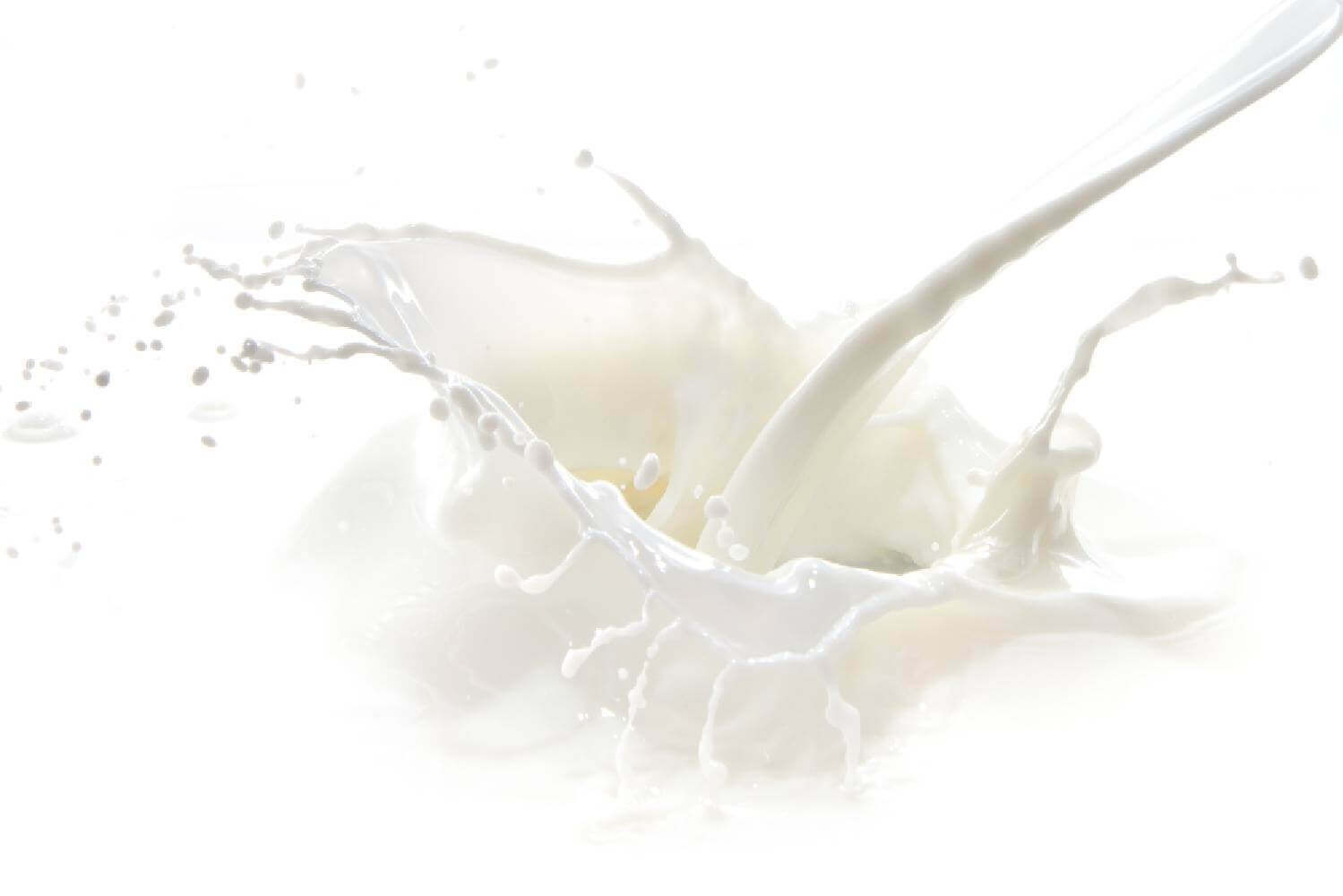 Lait d'ânesse