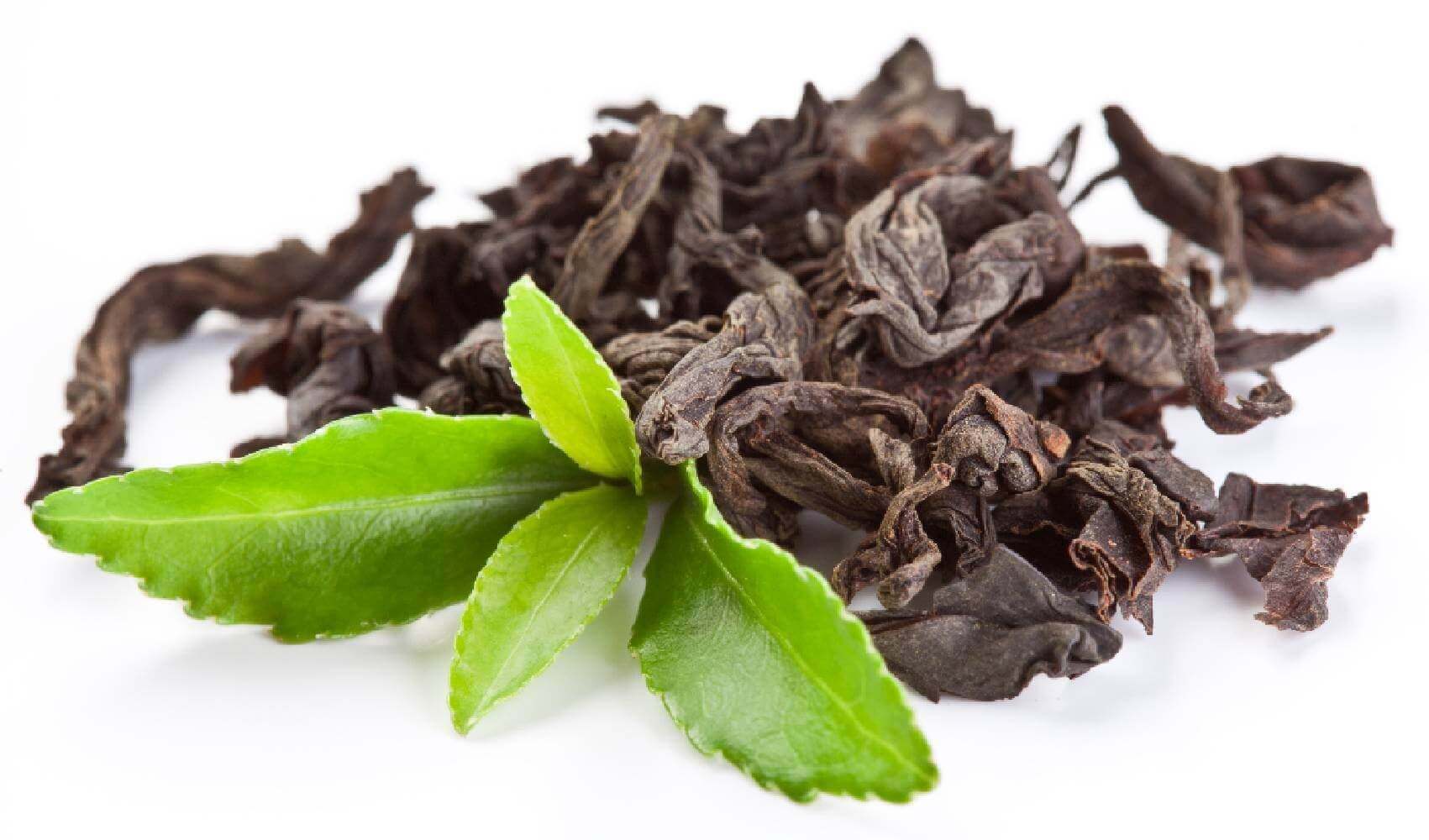 Maté vert
