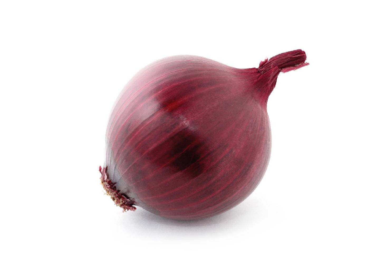 Oignon 