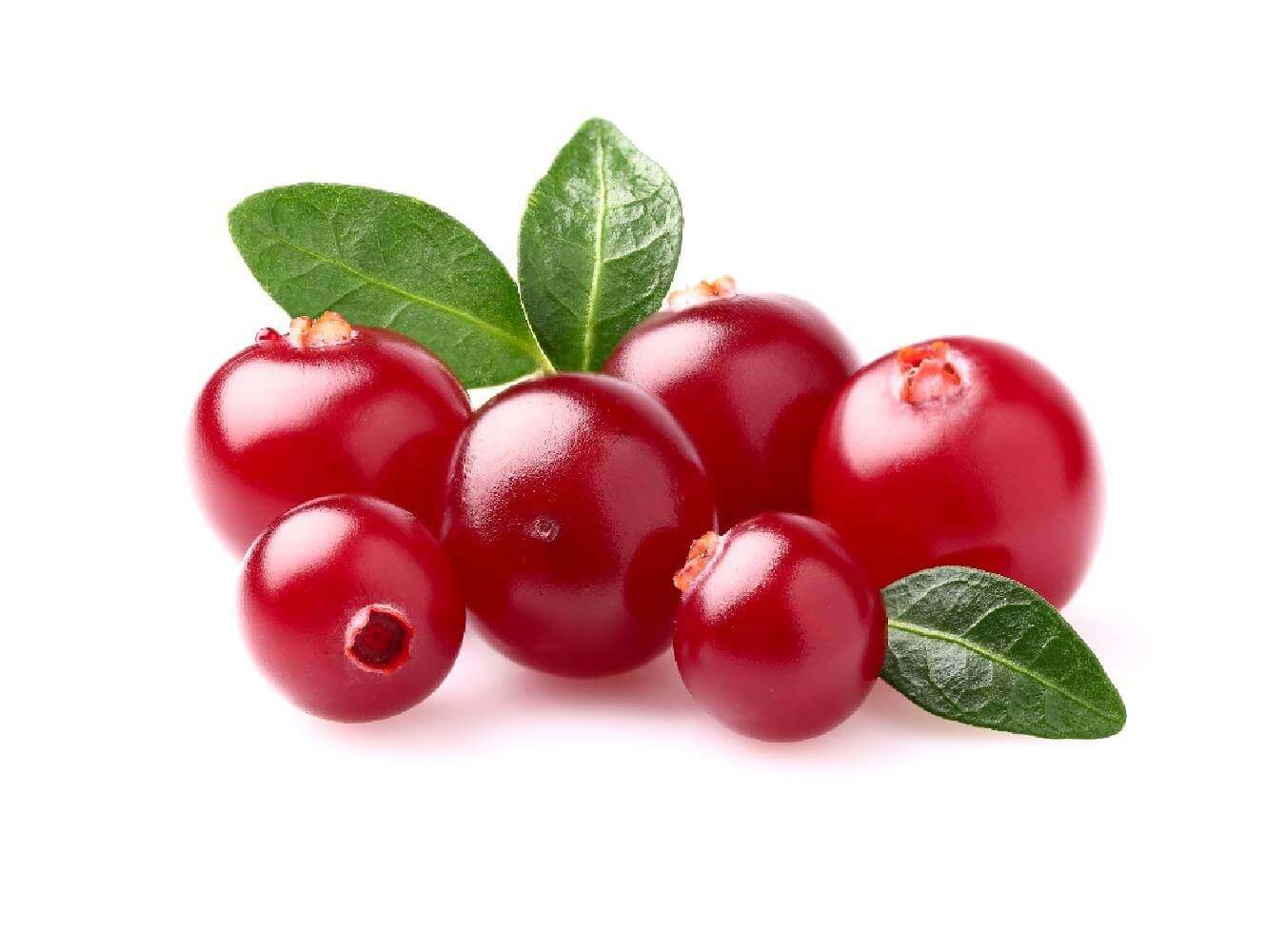Cranberry