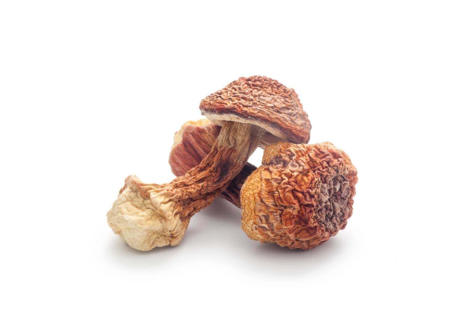 Agaric Blazei Murill