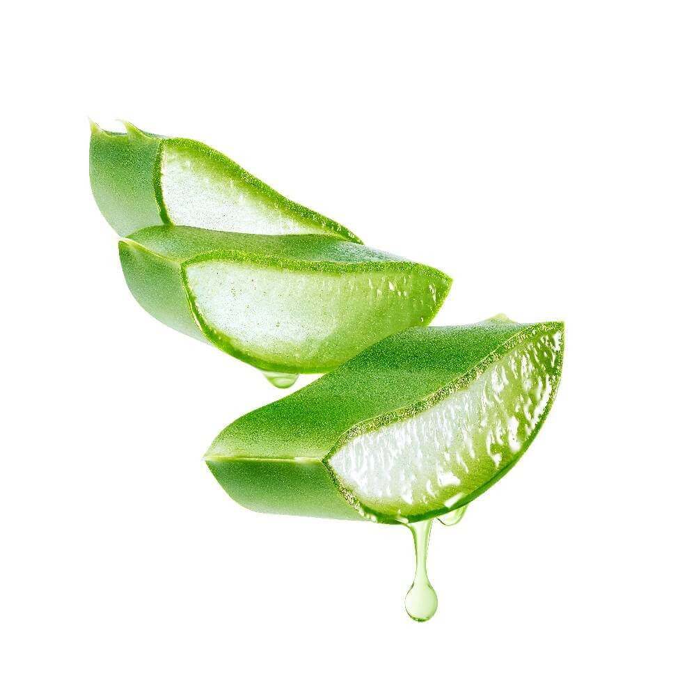 Aloé Vera