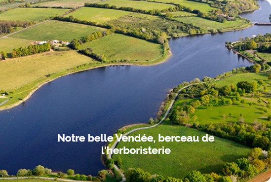 Région
